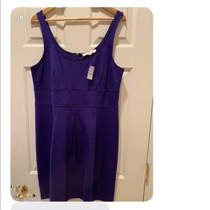 The Loft purple dress